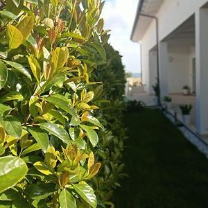 Matera nel verde